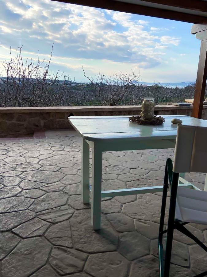Pistachio Guesthouse, Παραδοσιακός Ξενώνας Vathi  Bagian luar foto