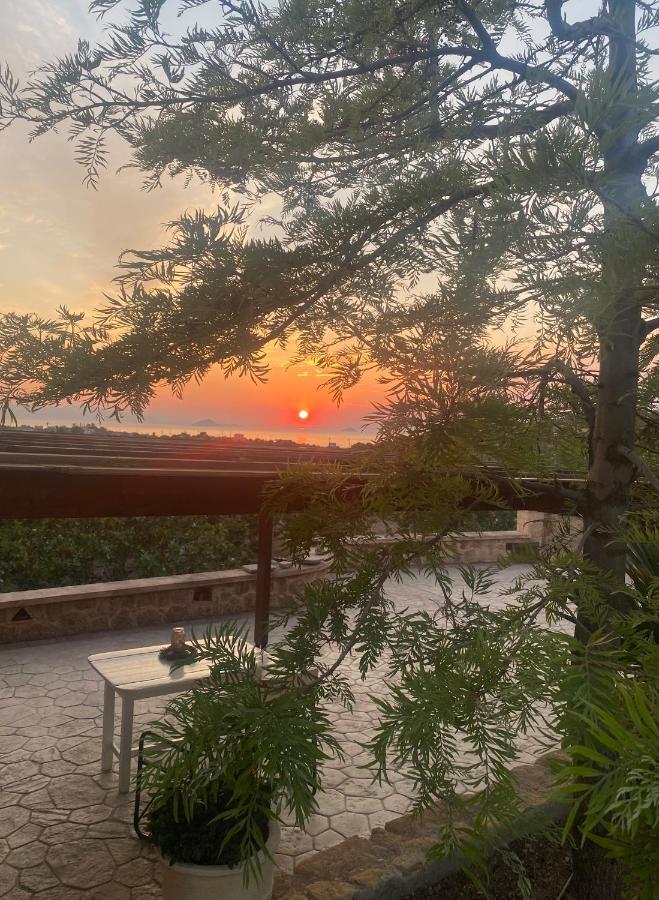 Pistachio Guesthouse, Παραδοσιακός Ξενώνας Vathi  Bagian luar foto